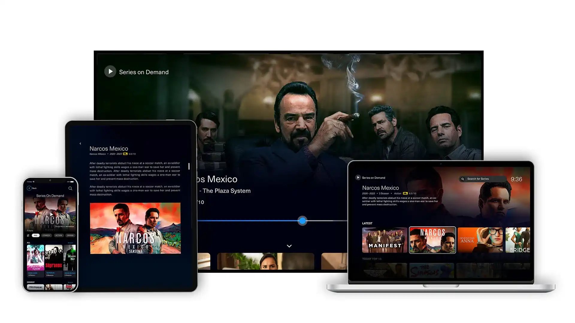 IPTV support
